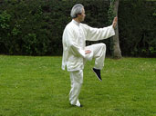 Postura del gallo dorado en la forma de Tai Chi Chi Kung