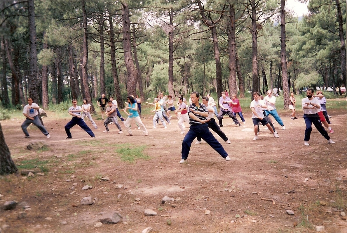 Práctica en el bosque realizando la forma