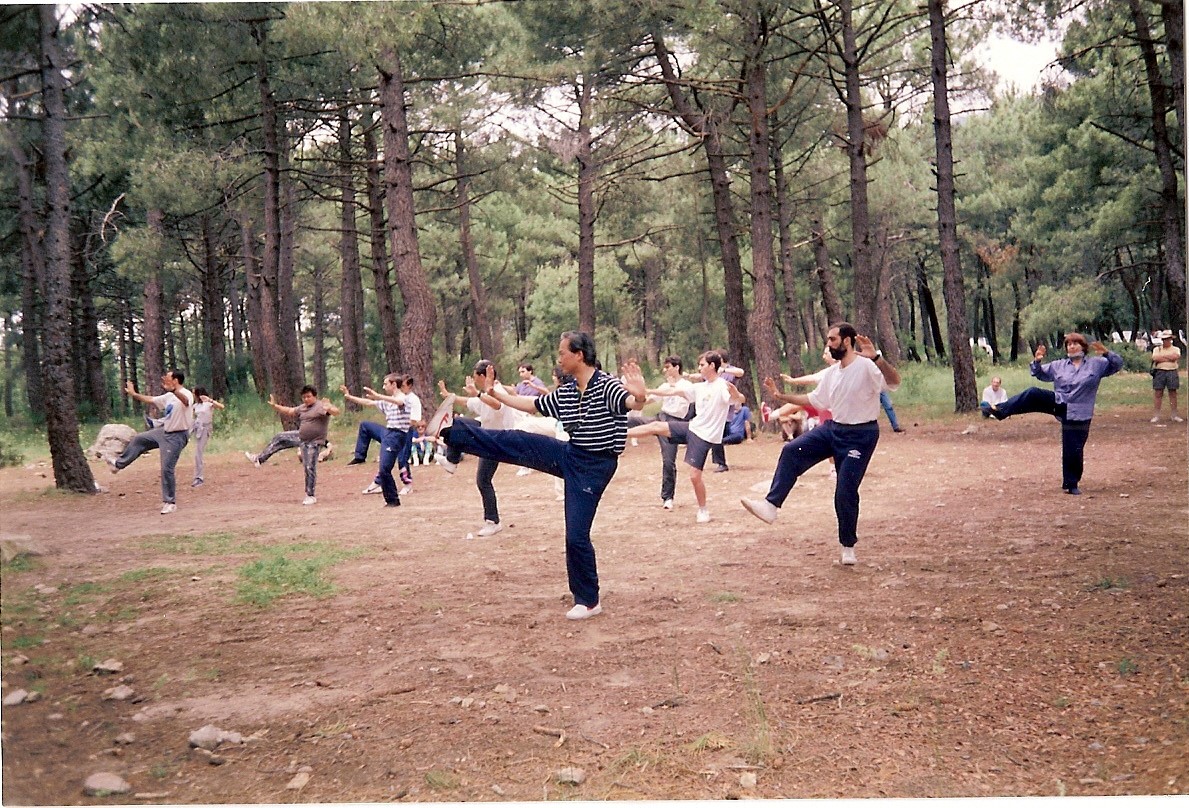 Práctica en el bosque en grupo