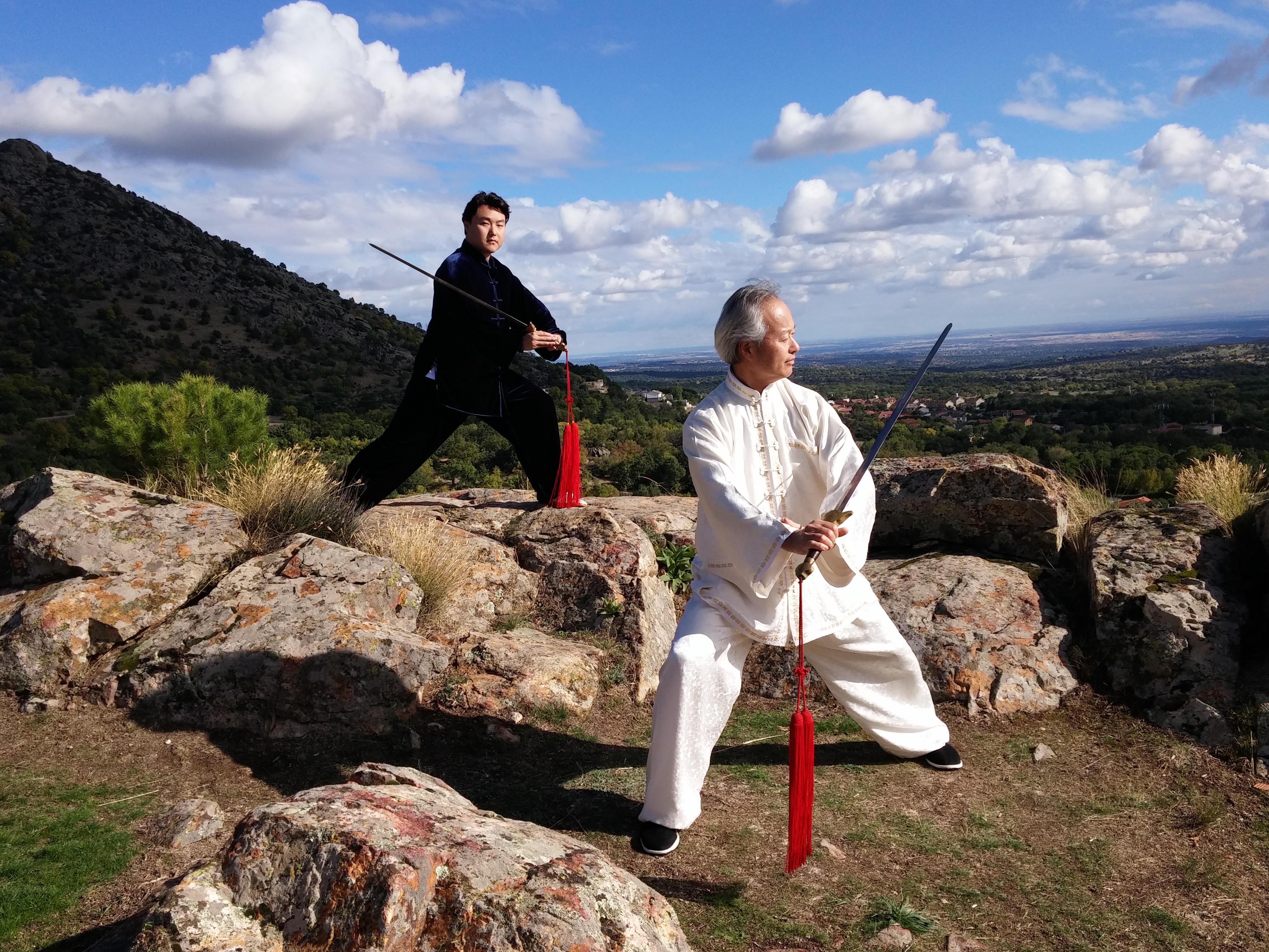 Formación profesional — práctica avanzada